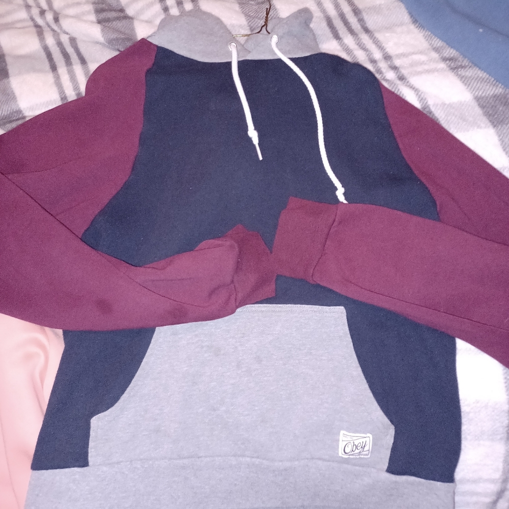 Colorblock obey hoodie